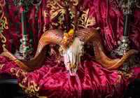 Image 1 of Candle Quartz & Pyrite - Ram Skull