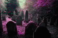 [LIMITED] Rest in Pieces ❈ Secret Bones