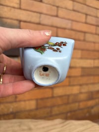 Image 3 of Ghost Plant in Small Bird Pot