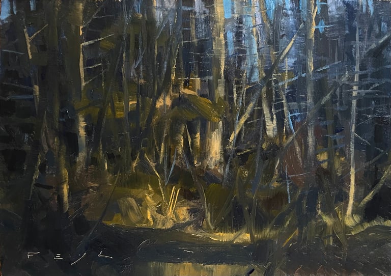 Evergreen Forest