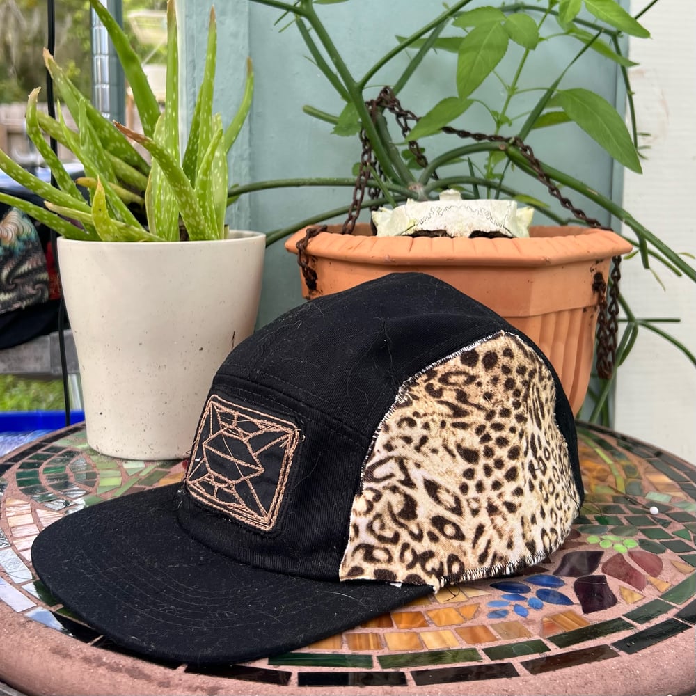 cheetah funktion one 5 panel 