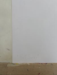 Image 5 of Not sorry poster . 