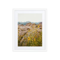 Image 2 of Yellow Mountain Wildflowers