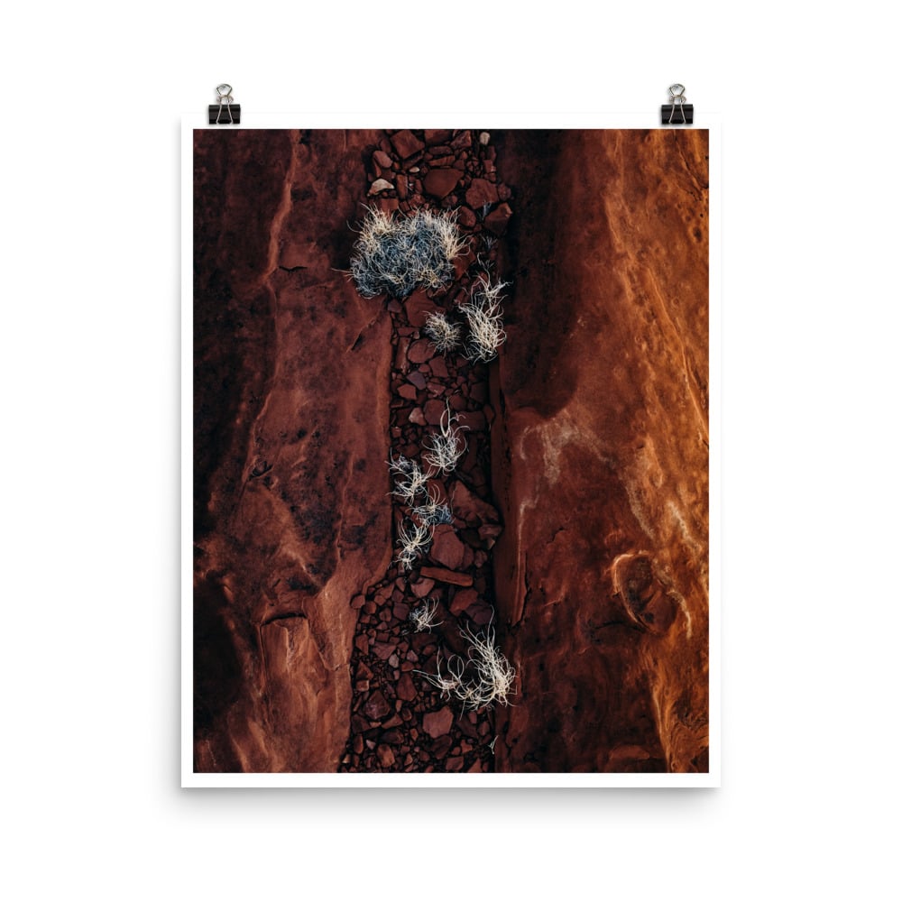 Coral x Capitol Reef