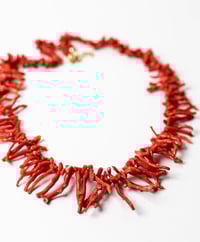 Image 3 of Corallo sardonico