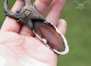 Image 2 of Wildshape Agate slice Necklace