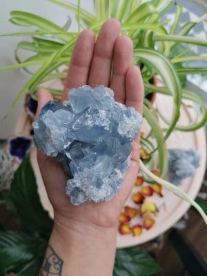 Image of Large Celestite specimen 