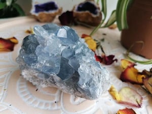 Image of Large Celestite specimen 