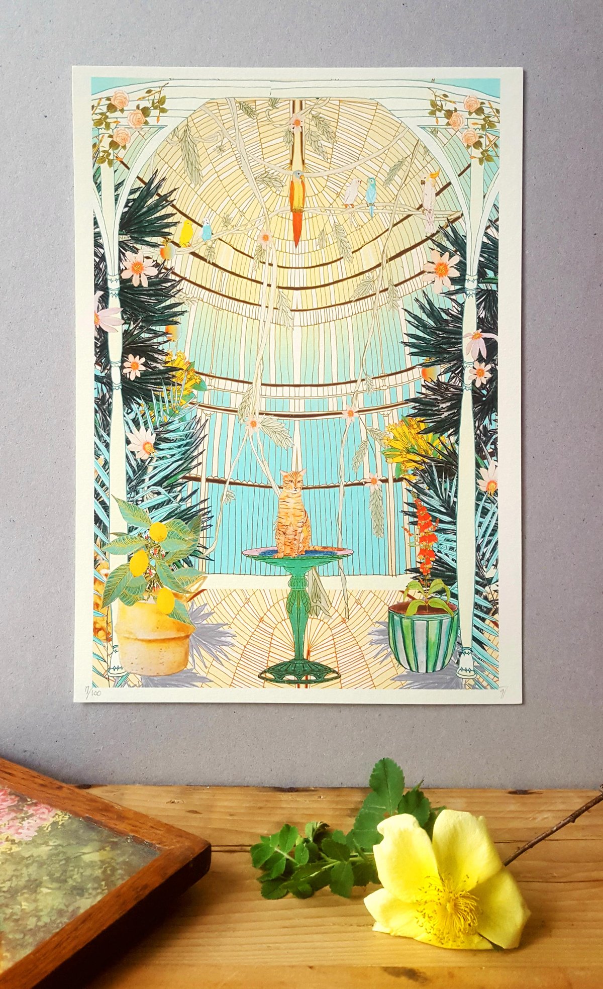 Image of ONE COOL  CAT-LIMITED  EDITION- GICLEE PRINT