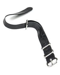 Image 2 of Tegu nato strap