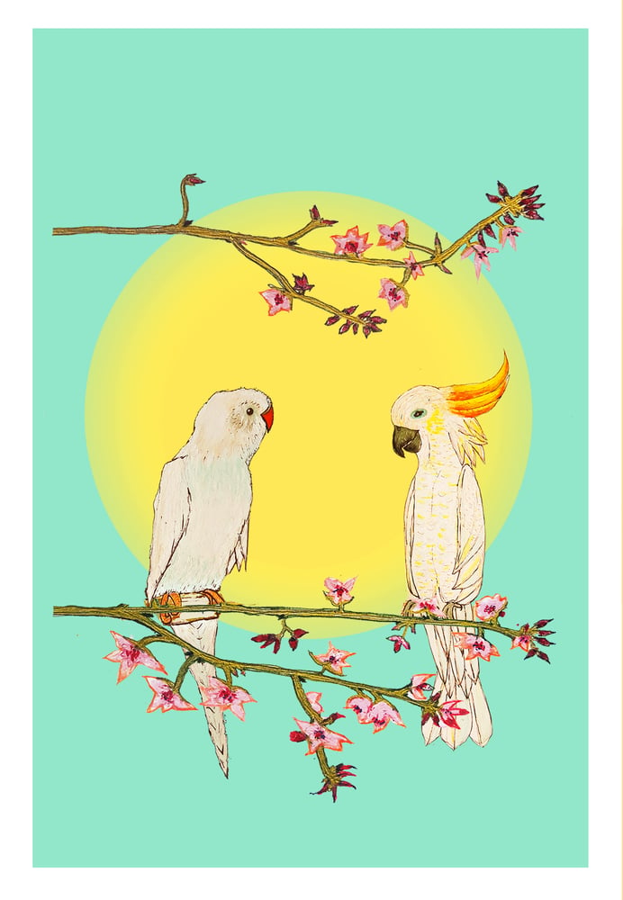 Image of COCKATOO & PARAKEET SITTING ON A TREE - LIMITED EDITION- GICLEE PRINT