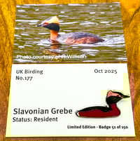 Image 4 of UK Birding Pins Club - Pins Only