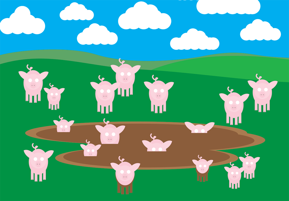 Pig Collection