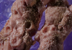 Image of CELESTIAL STUD EARRINGS - Dusk