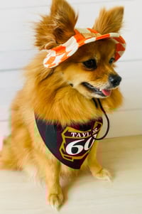 Image 2 of Personalized Motocross / Supercross front plate Dog Bandana 