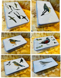 Image 1 of UK Birding Tins - Large - Various Designs Available