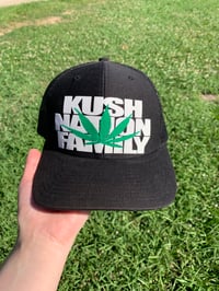 KNF weed plant