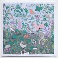 Image 4 of SQUARE GREETINGS CARDS ~ PLANTS , BIRDS & ANIMALS SELECTION