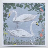 Image 3 of SQUARE GREETINGS CARDS ~ PLANTS , BIRDS & ANIMALS SELECTION