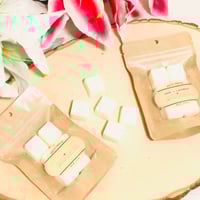 Image 2 of WAX MELTS
