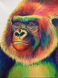 Image 1 of Gary the Rainbow Gorilla
