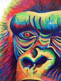 Image 3 of Gary the Rainbow Gorilla