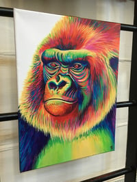 Image 2 of Gary the Rainbow Gorilla