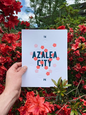 Image of Takoma Park - Azalea City - Second Edition