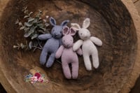 Image 2 of Little Bunny, bunny prop, newborn prop, photography prop