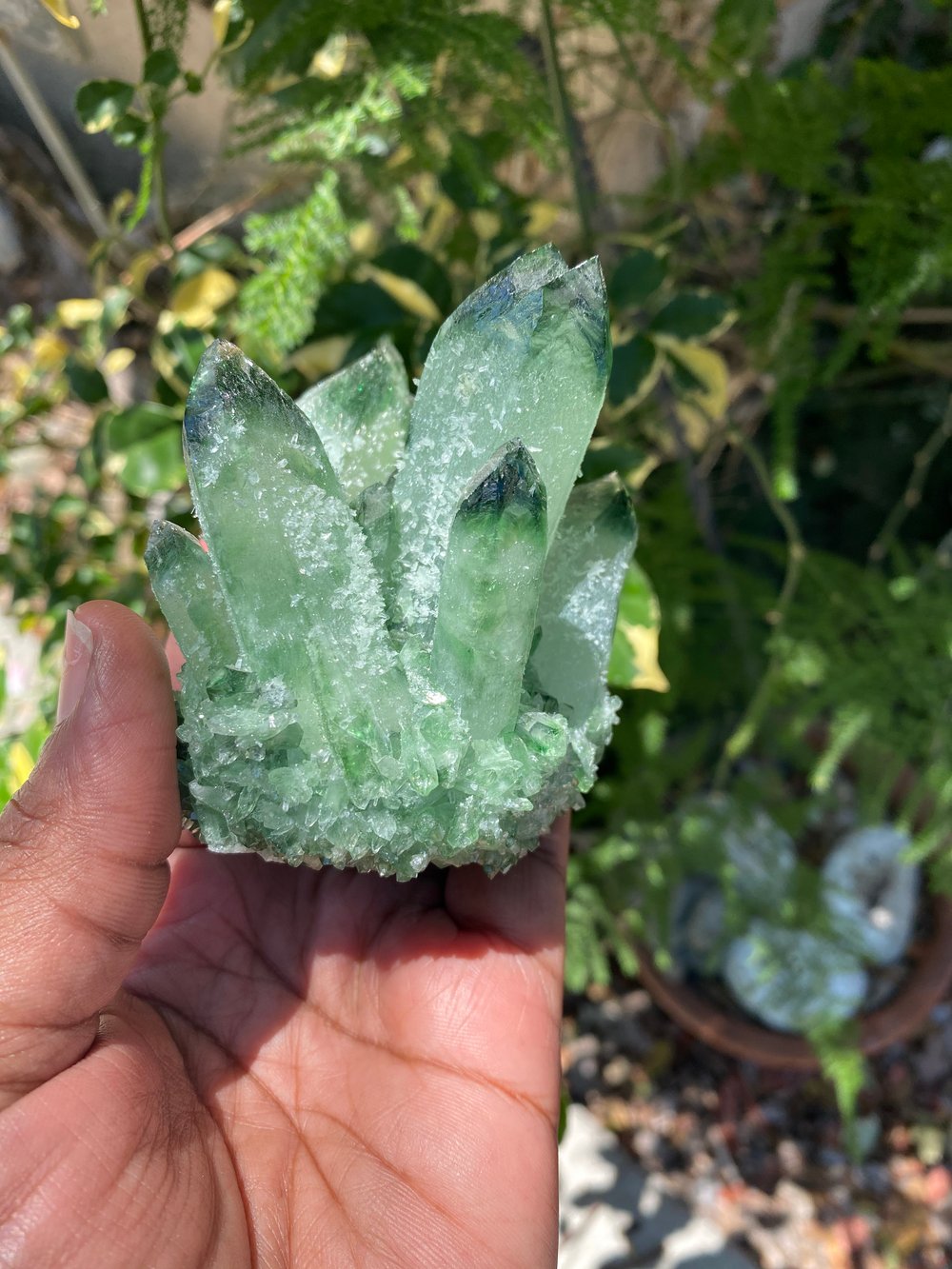 Image of Dragon Skin Quartz