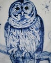 Colbalt Barn Owl Porcelain Bowl