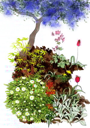 Late April: Columbine