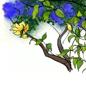 Late April: Ceanothus, rose