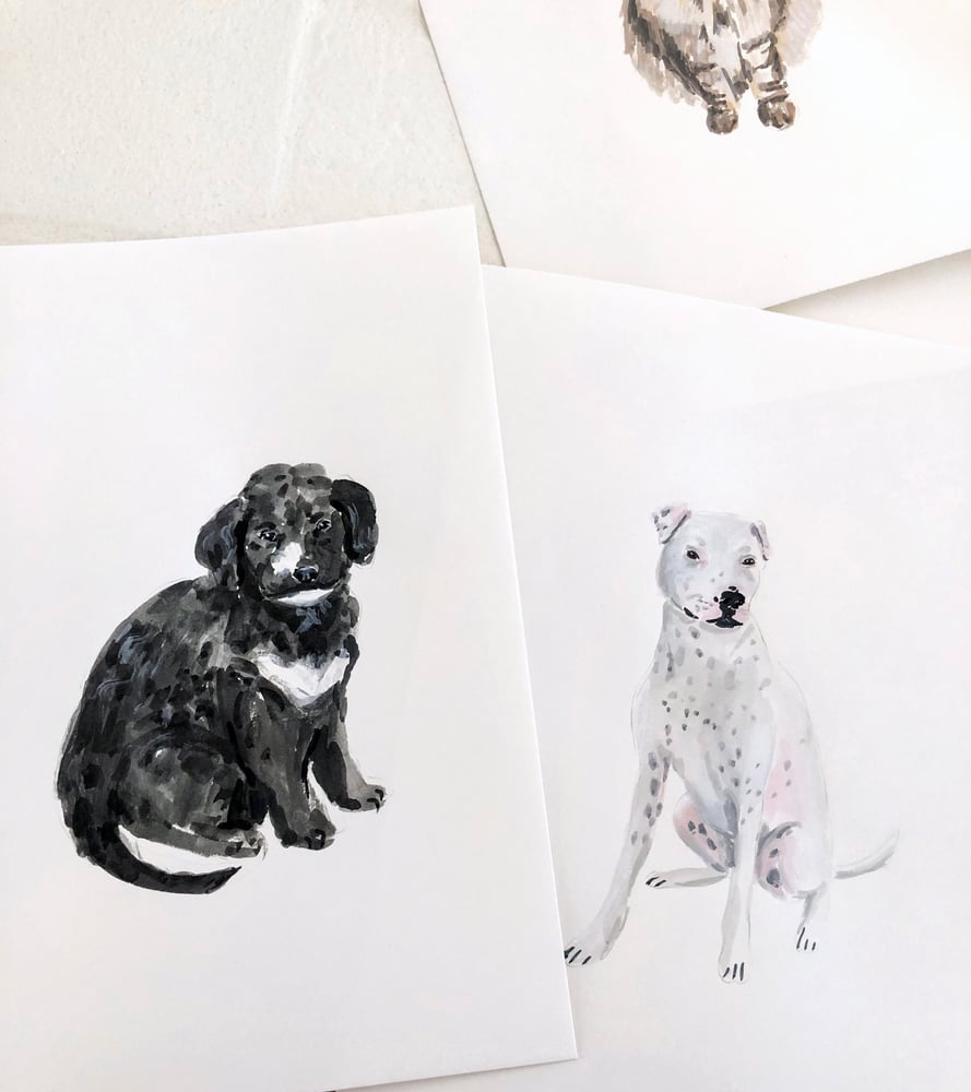 Image of Custom Pet Portrait