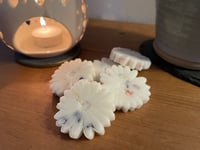 Image 1 of Limited edition Daisy Chain wax melt set