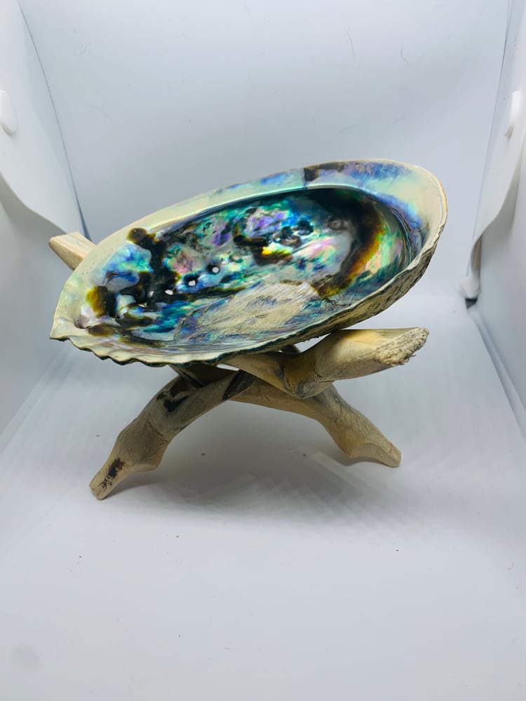 Image of Abalone Shell and Wooden Tripod 