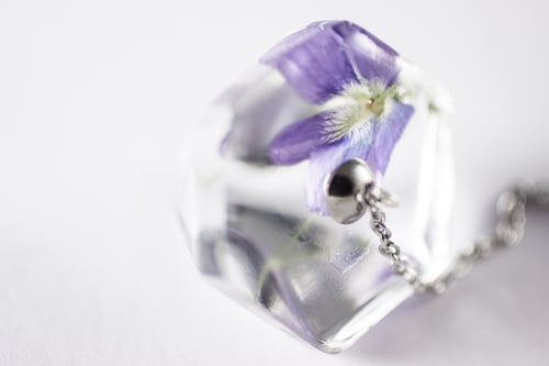 Image of Violet (Viola sororia) - Pendulum #1