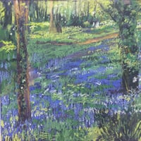 Limited Edition Handmade Canvas Print - Paradise Found - Guernsey Bluebell Woods 20" x 20"