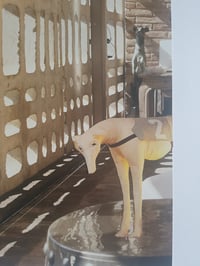Image 4 of 'Male Gaze'