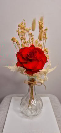 Image 1 of Preserved Rose Bud Vases
