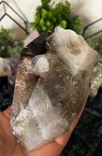 Image 3 of Lemurian Smoky Quartz 