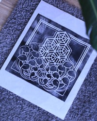  Geometry and Chrysanthemum