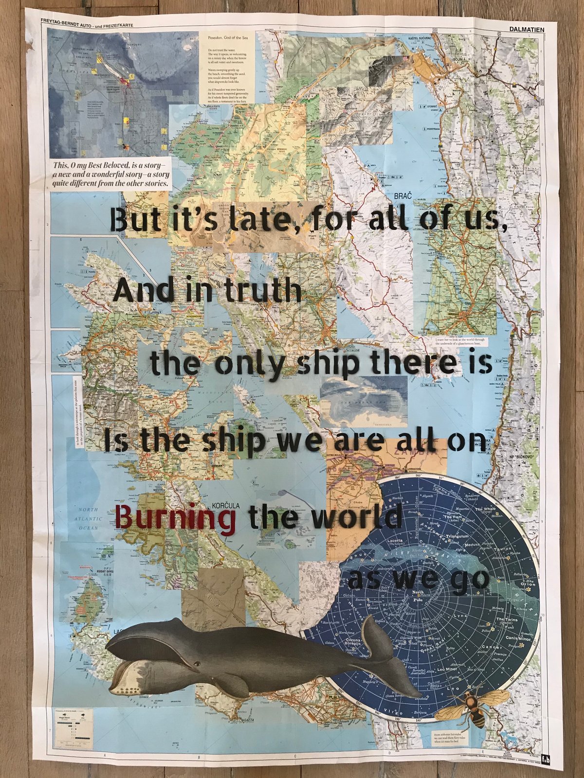 Oliver 39 s Whale ShannonGalpin - IMG 9214 