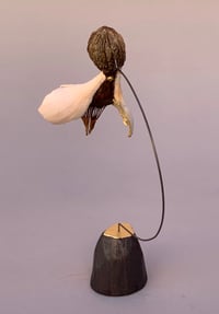 Image 5 of Talisman (Zeitgeist)