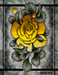 Image of Yellow Rose Print