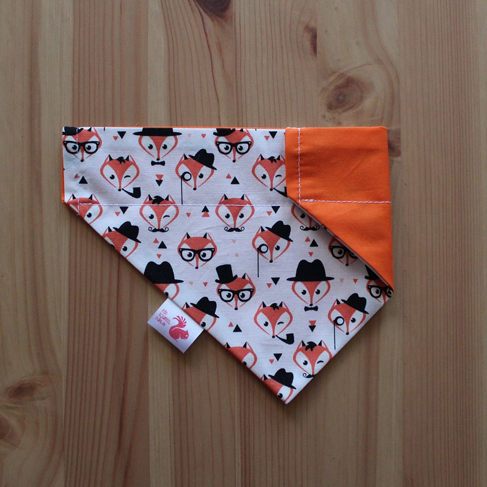 Image of Foxes dog & cat bandana