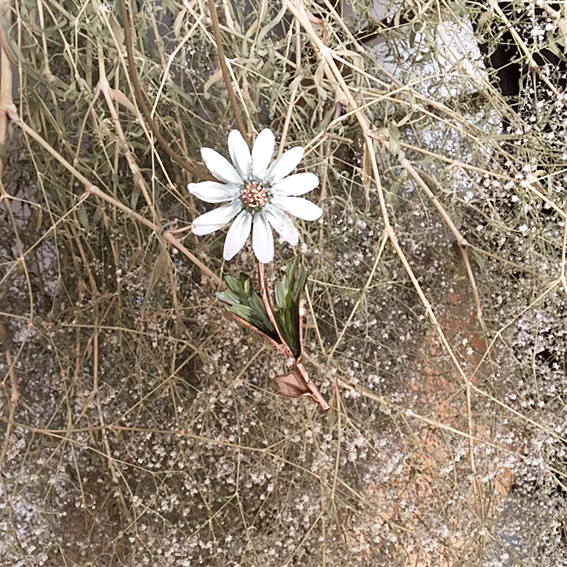 Image of Daisy 225€TTC