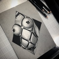 Image 4 of Original Charcoal Harness Drawing