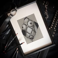 Image 1 of Original Charcoal Harness Drawing