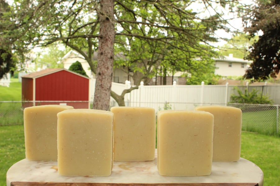 Image of Avocado & Aloe Vera Natural Body Soap